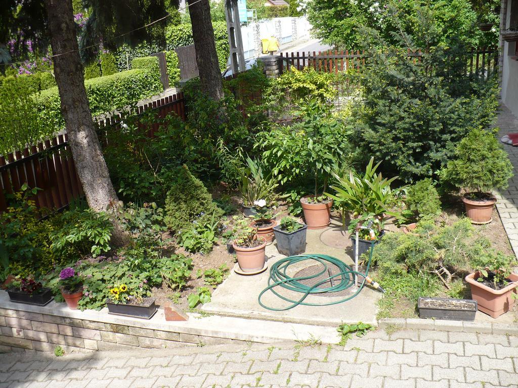 Kitty Apartman Apartment Miskolc Exterior photo